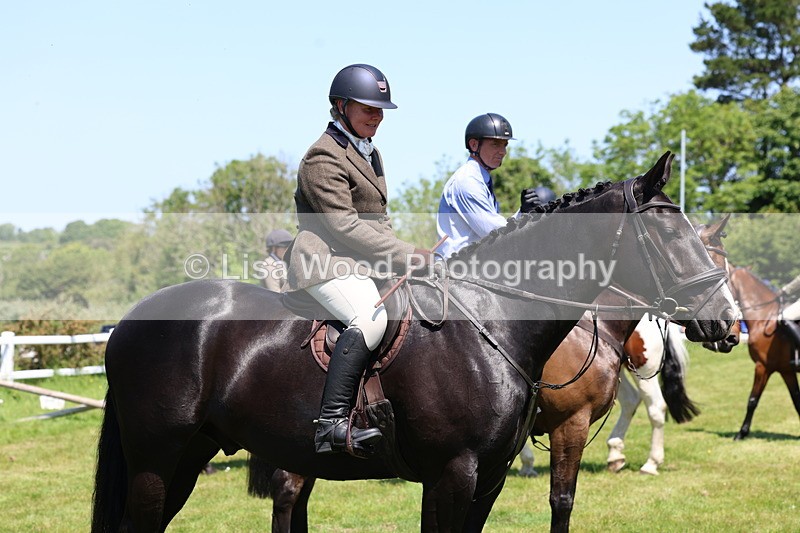 3E7A7389 - Class 30: Novice Working Hunter