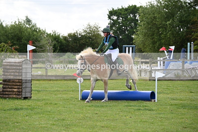 WJ6_2294 - Class 2 40cm