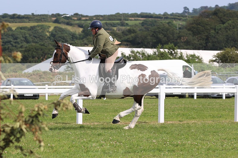 JPP_4059 - Class 24: Working Hunter 90cm