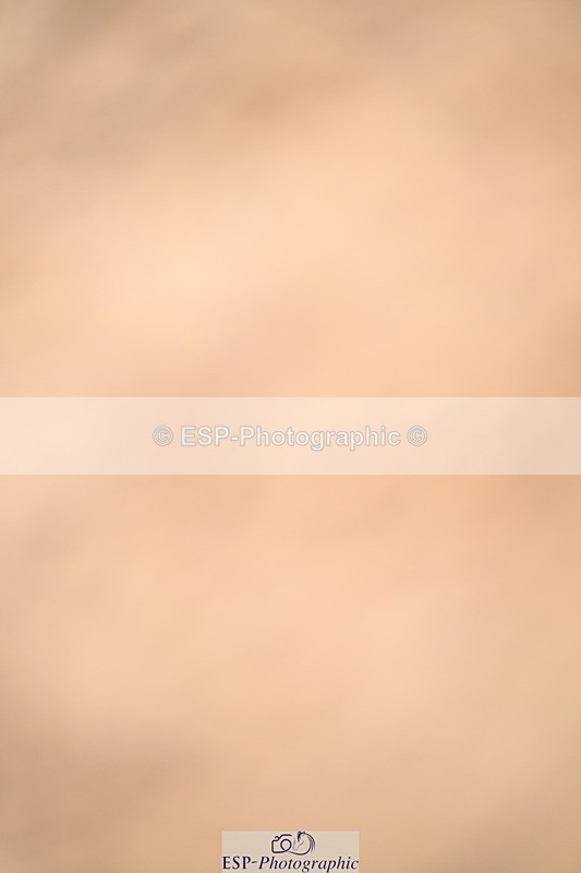 250720-092543-18634 - Cls 20, 1 Star Gold Tour