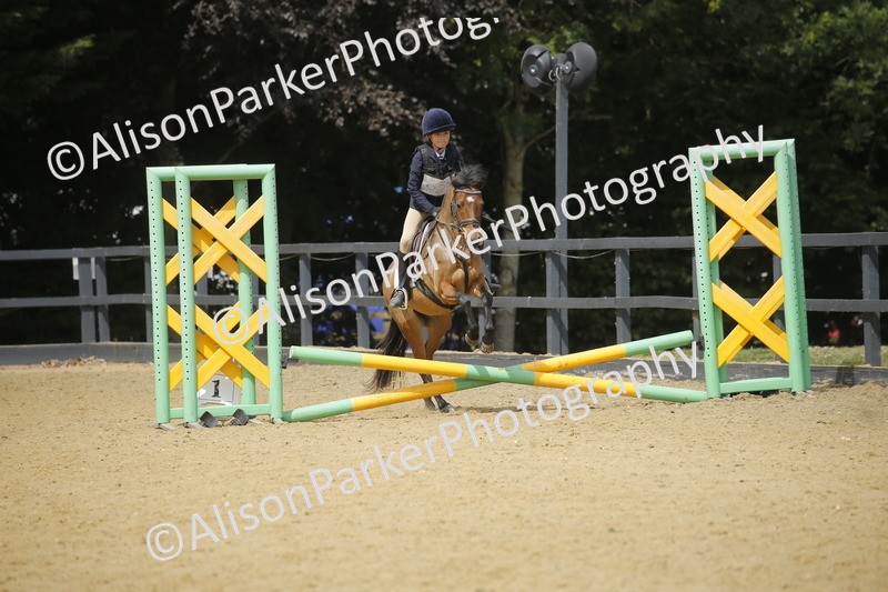 20250622-3948 - 50cm