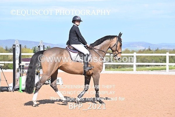 BPP_2021 - CLASS 3 - FRI - Senior British Novice/90cms Open