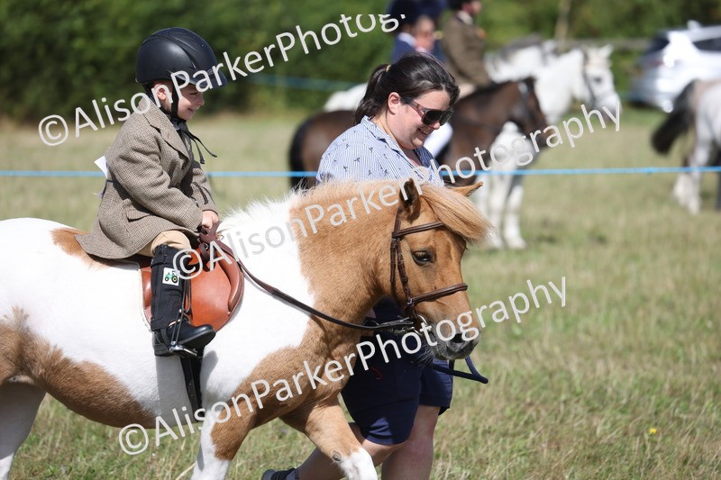 20260906-2730 - Class 25 - Absolute Beginners Pony