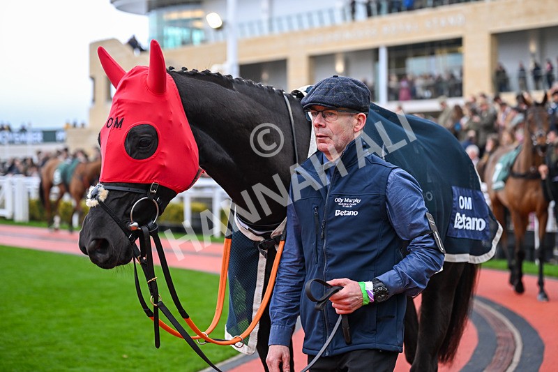 151125-Race 5-Long Draw-3709 - Race 5