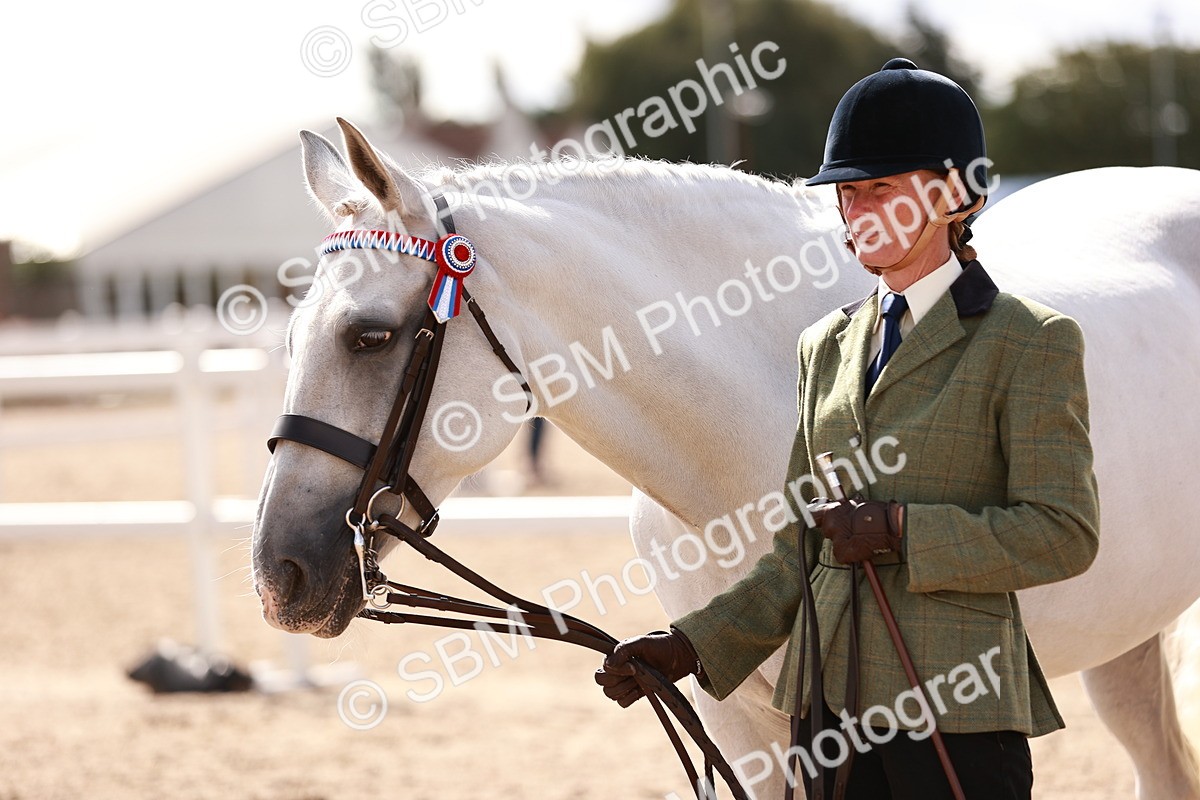SBM_14206 - Class 407 - IH Hack Riding Horse
