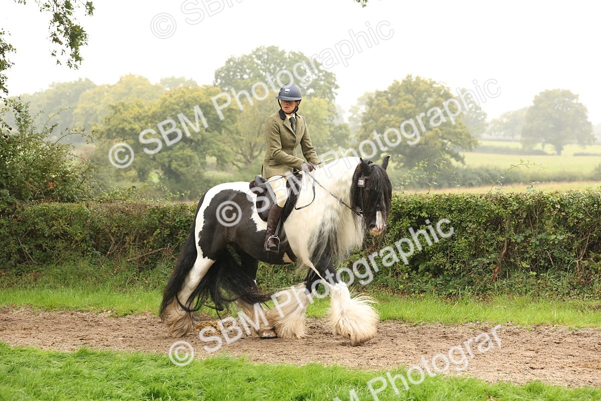 SBM_72692 - S70 - Traditional Cob Ridden