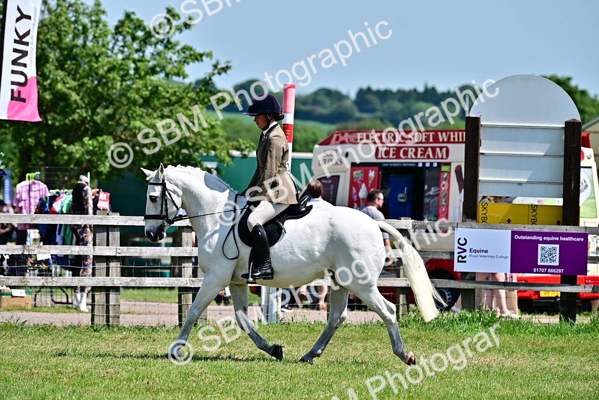 SBM_17468 - Class 95-97 - BSPS LHS Performance Ponies