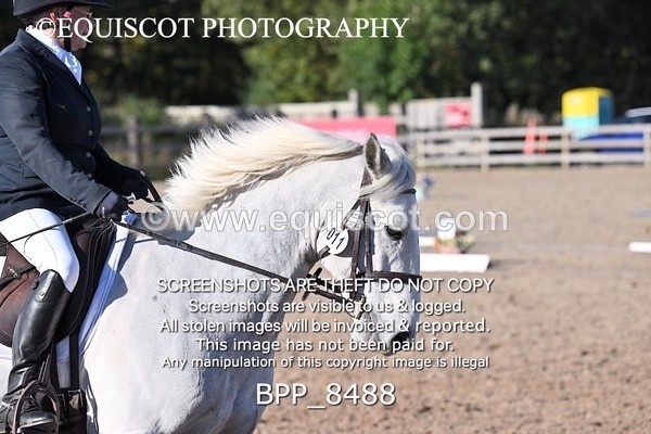 BPP_8488 - LONG ARENA