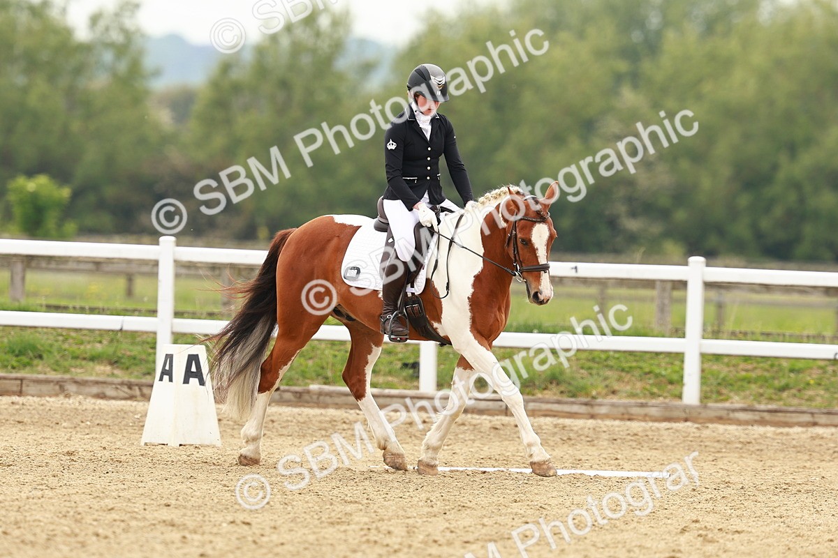 SBM_001195 - Class 6 - Novice 4