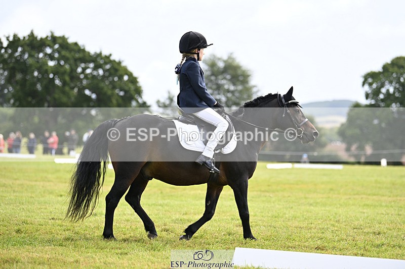 240824X-110659-25712 - D80 Section E and F 11.00 to 12.00