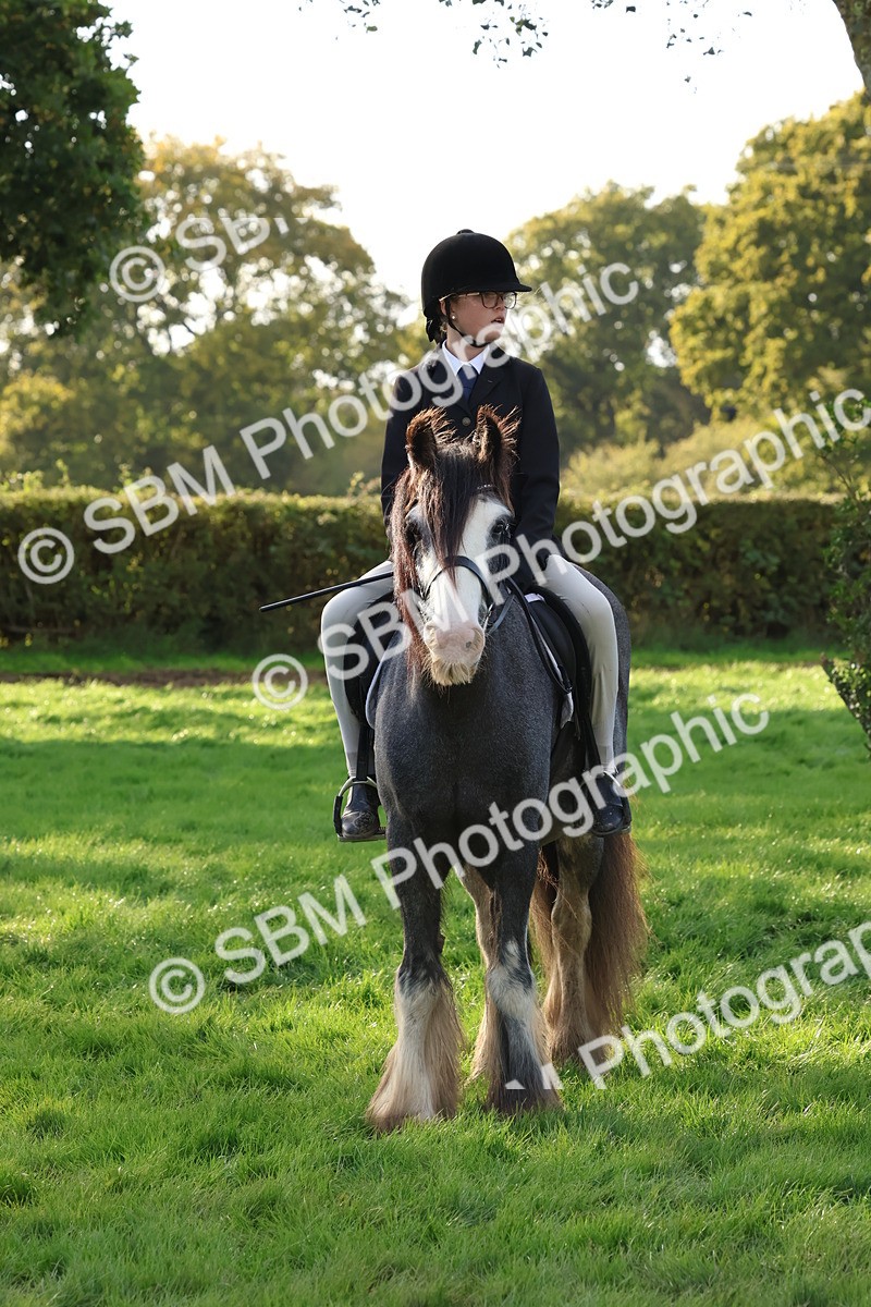 SBM_52610 - S13 - Pony Club Pony