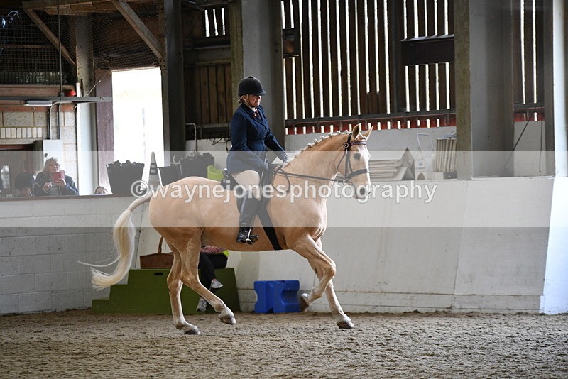 WJ5_6121 - Class 9 Ridden Veteran