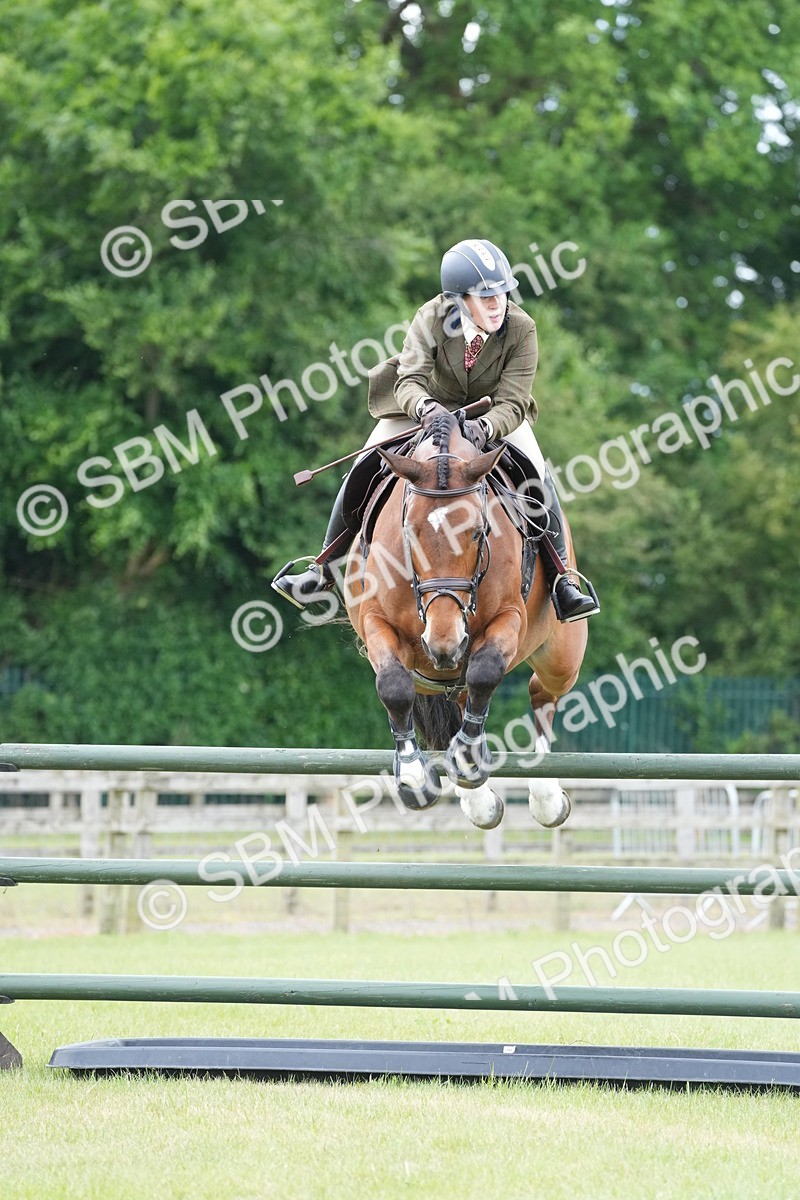 SBM_14976 - Class 100-102 - RIHS Working Hunter