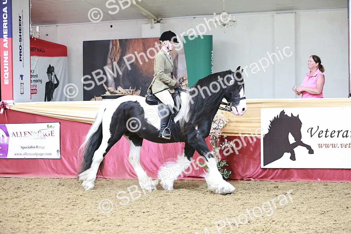 SBM_08630 - Regional Ridden Champ