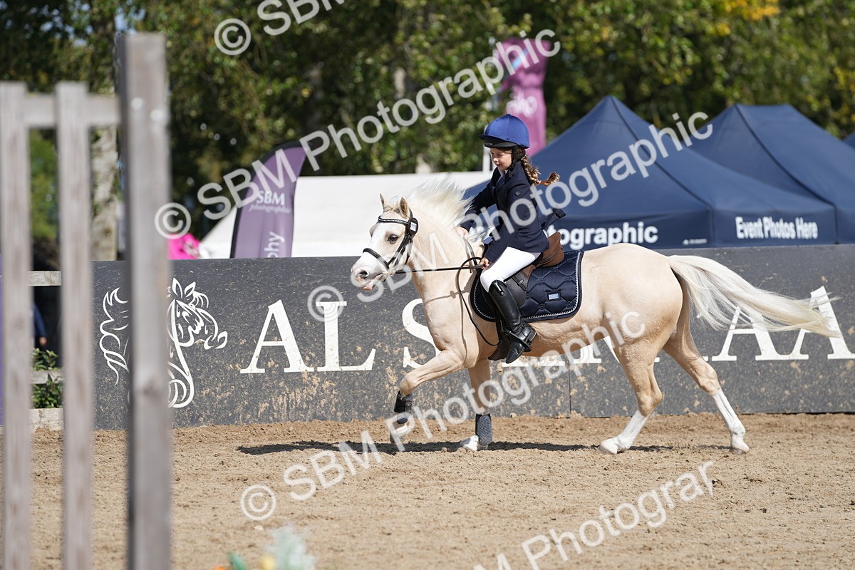 SBM_17958 - J58 - Clear Round 50cm