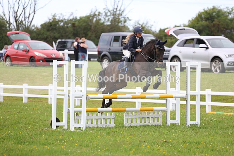3E7A1776 - Class 13: Senior British Novice/90cm open