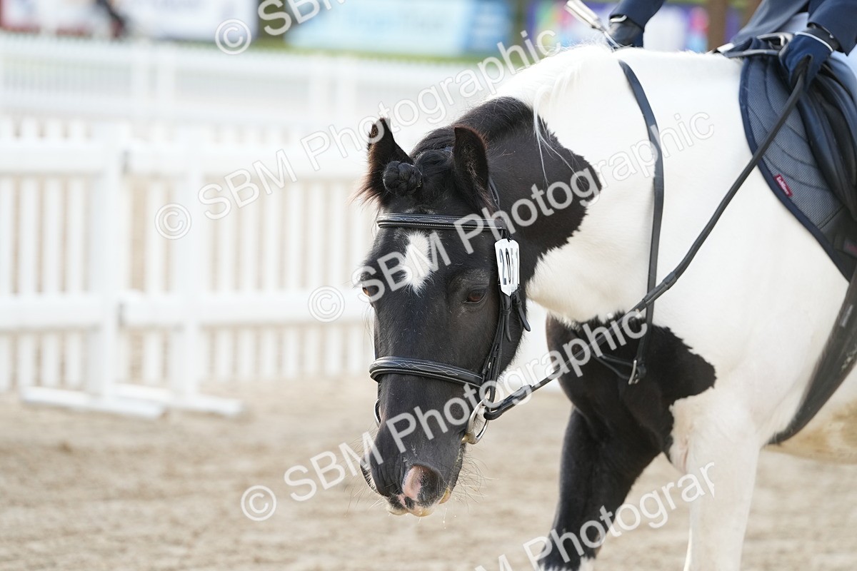 SBM_32292 - J5 - Junior Pony 50cm Championship