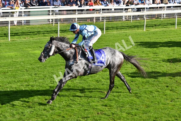 yr08102021r3-34 - Race 3 3.15pm Download The Casumo App Today Handicap