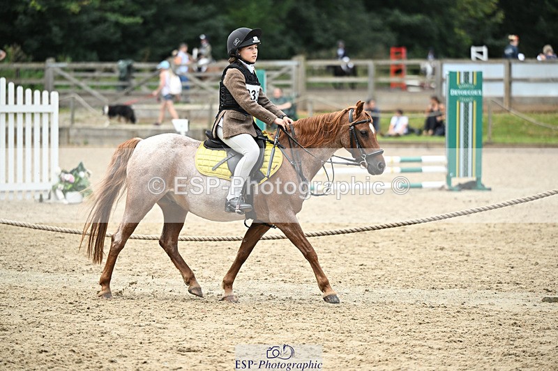 240822X-153021-10837 - 50cm R1 15.00 to 16.00