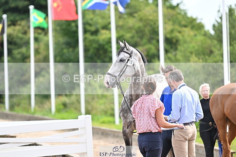 240717A-164201-03479 - Trot Up 4pm to 5pm