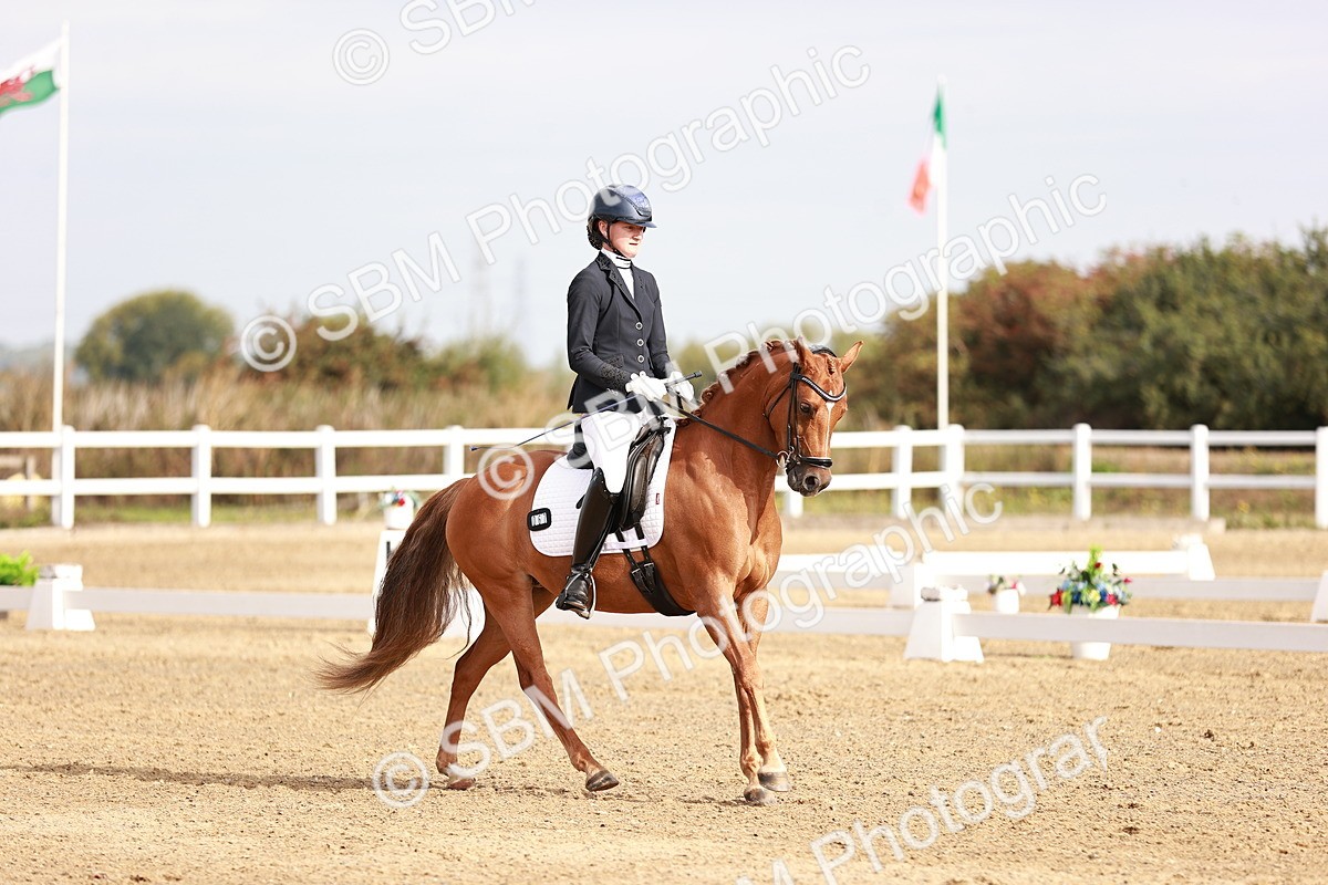 SBM_016898 - Class 10 - Medium 6