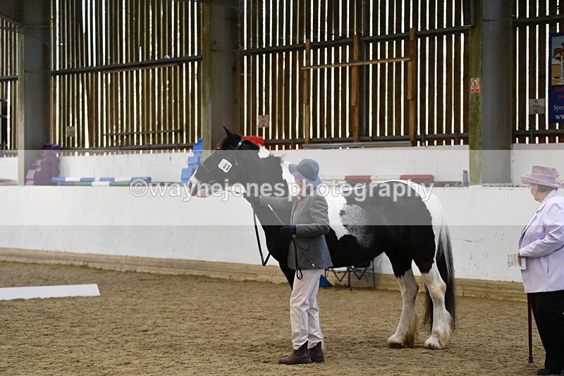 WJ5_4973 - Class 7 In hand coloured / odd coloured