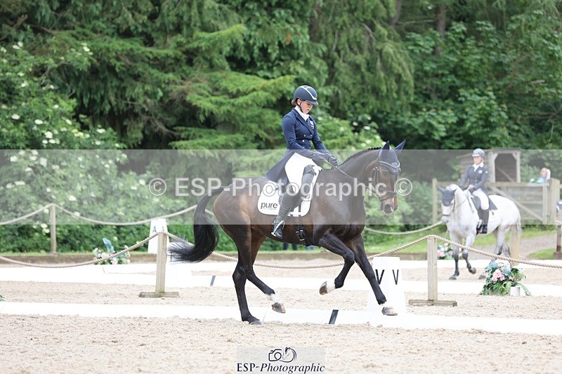 240524-164154-11100 - 372-PENCOS_CROWN_JEWEL-Millie_Juleff