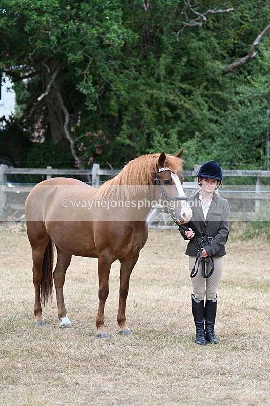 WJ7_8132 - Class 4 Prettiest Mare up to 14.2hh