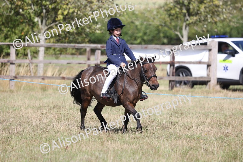 20260906-3044 - Class 18 - Childs First Pony