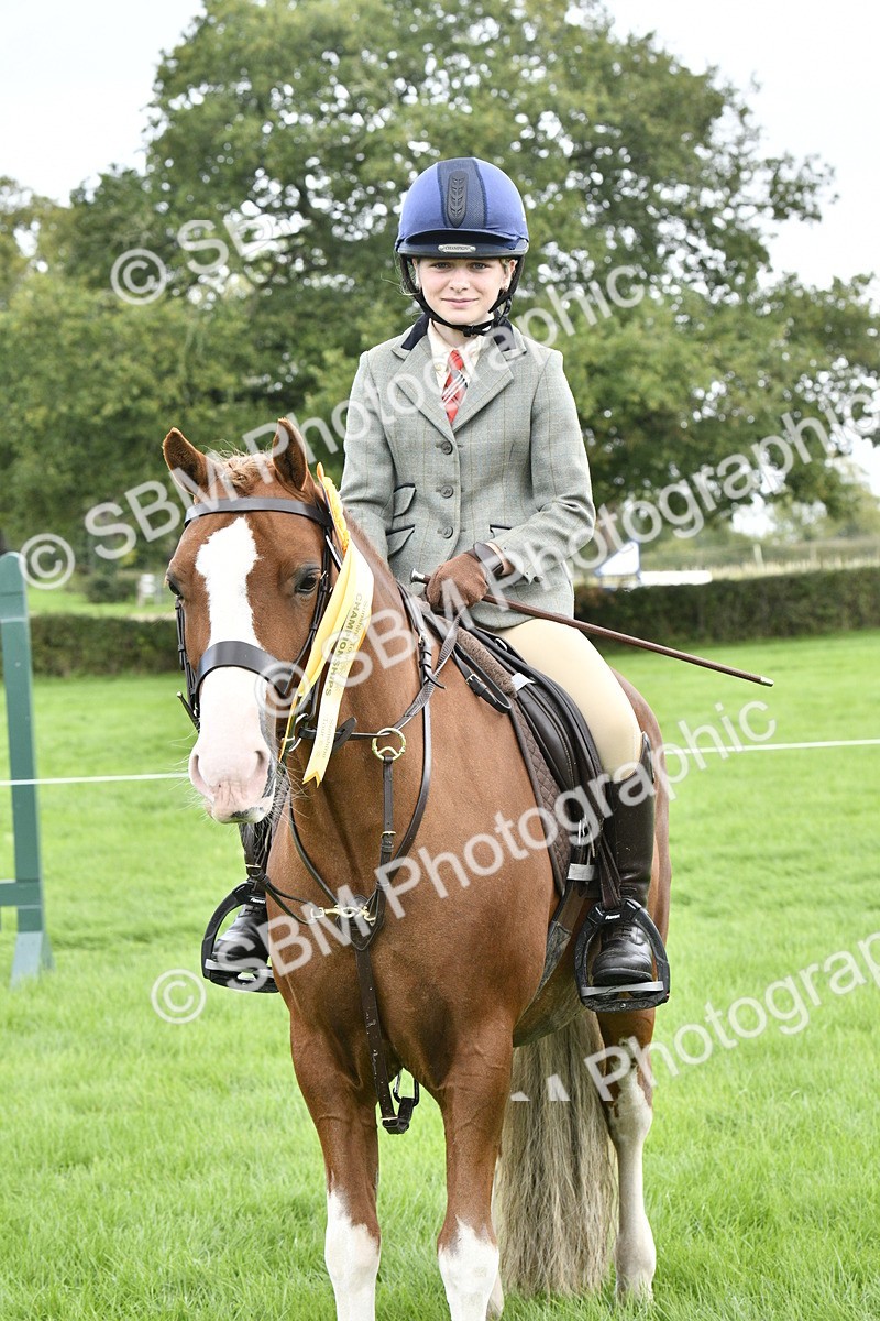 SBM_38300 - S31 - Novice & Newcomer Working Hunter Pony