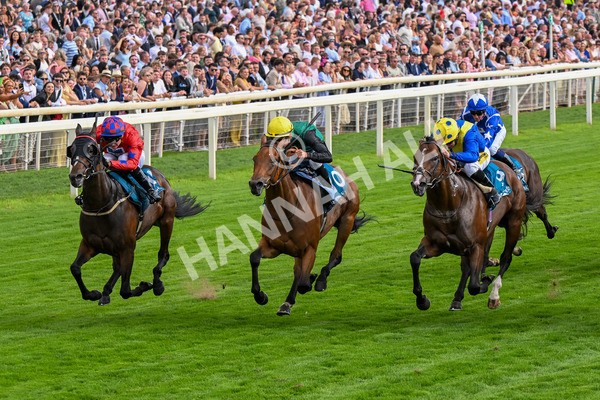 260725-Race 7-Chesneys Charm-0906 - Race 7 5.00pm Sky Bet Extra Places Every Day Handicap