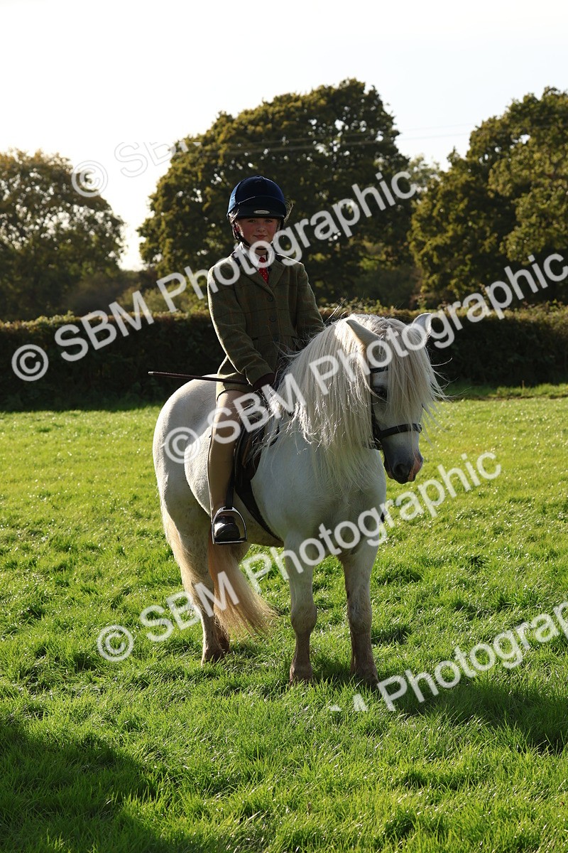 SBM_52635 - S13 - Pony Club Pony