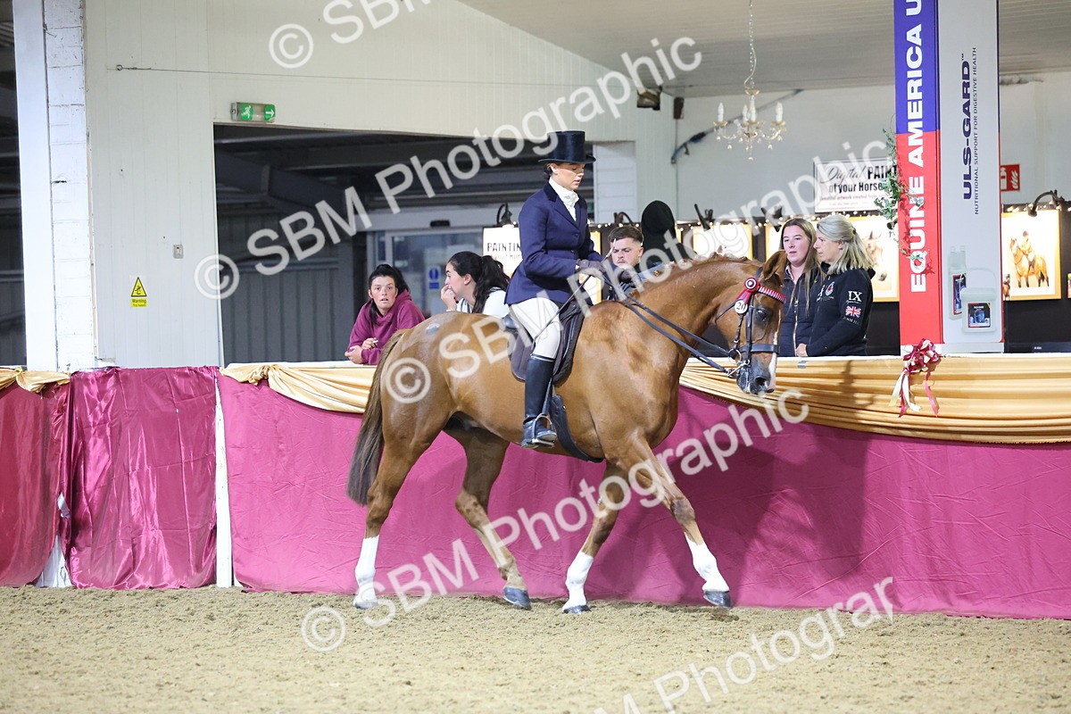 0B8A4489 - Class O Ridden Show Horse Champ