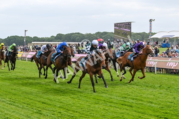 150525-First Legion-5159 - Race 6 4.55pm Frank Whittle Partnership ebfstallions.com Novice Stakes