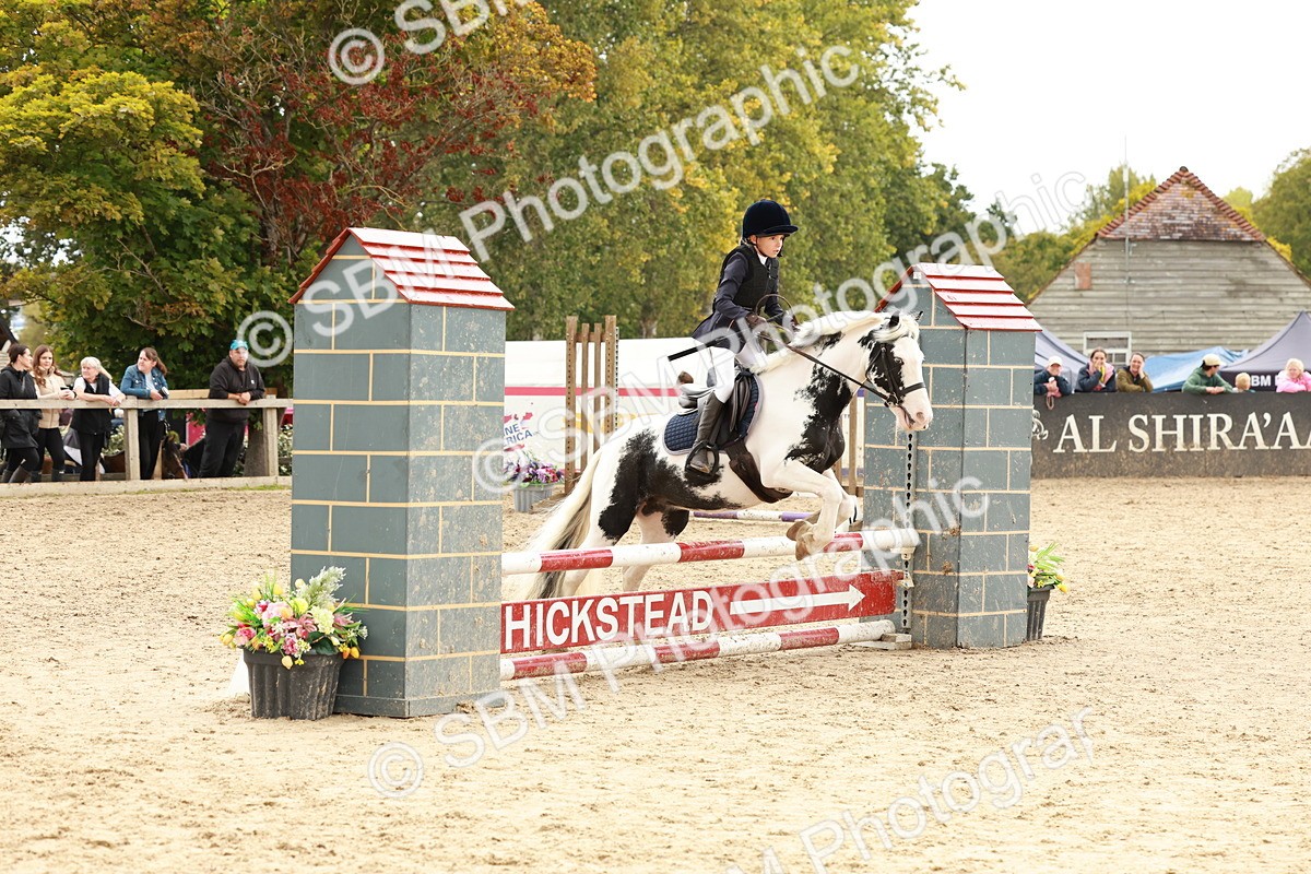 SBM_62140 - J12 - Junior Pony 55cm Championship