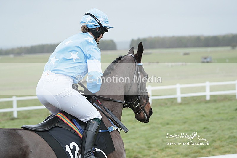 PtP 041222 0254 - Larkhill Racing Club Point-to-Point Larkhill 01/01/23