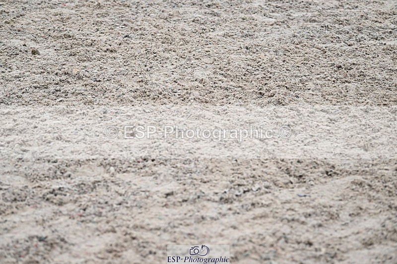 231118A-124619-01980 - Cls 6 BlueChip Pony Sapphire Qualifier