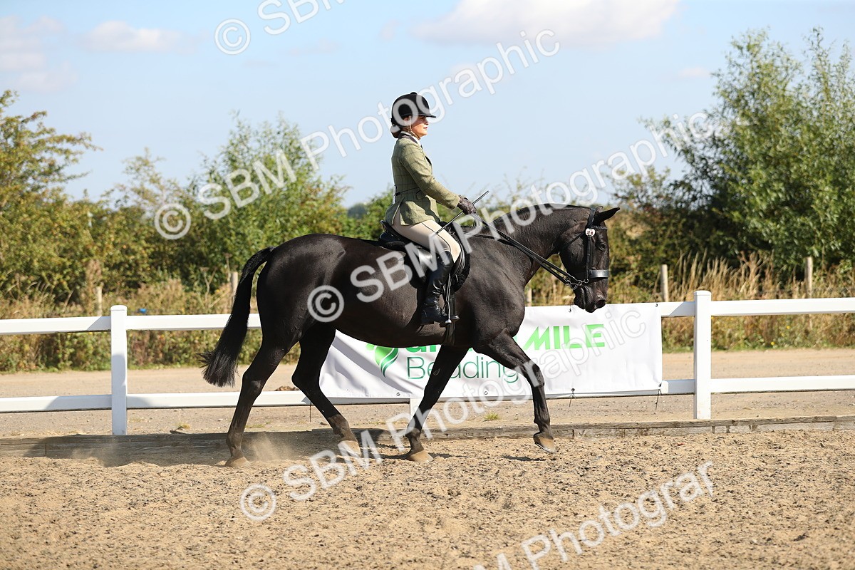 SBM_02200 - Class 43 Ridden Competition Horse/Pony