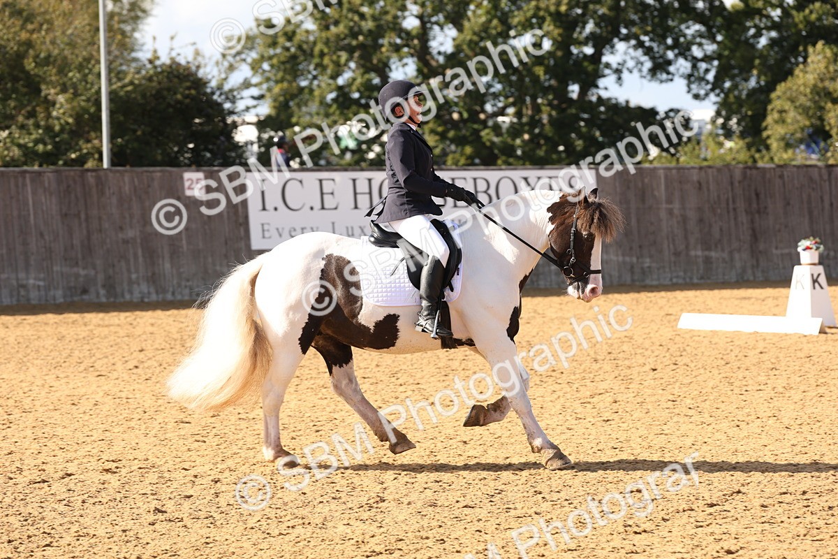 SBM_50438 - D12 - Small Tour Championship prelim 2