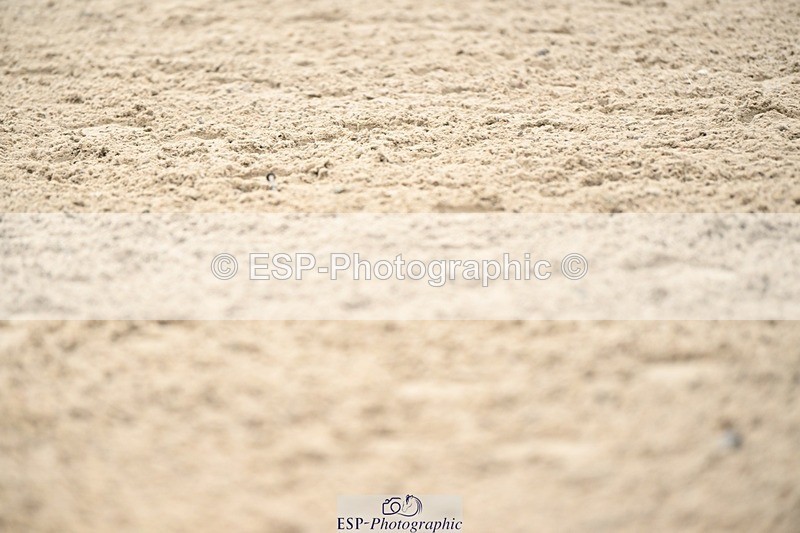 241103-123351-02042 - Prelim 2 - 12.05 to 13.15