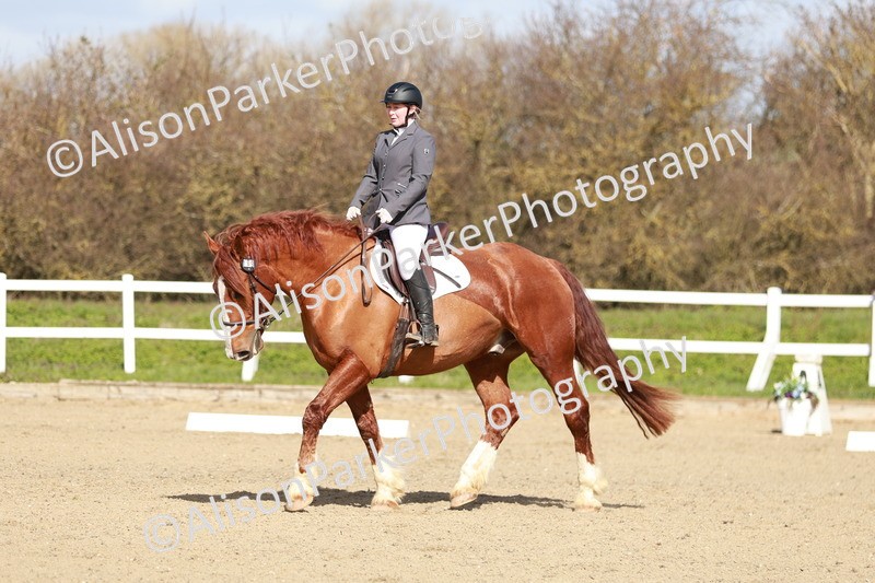 20260314-2840 - DR3 - Prelim 1