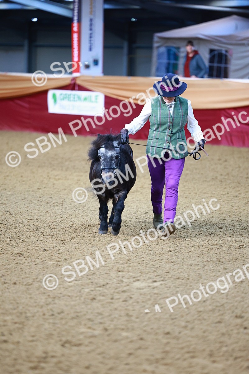 SBM_21672 - Class 901 - Supreme Final - IH  Diamond