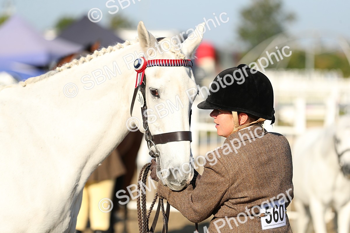 SBM_00043 - Class 40 Best Turned Out IH