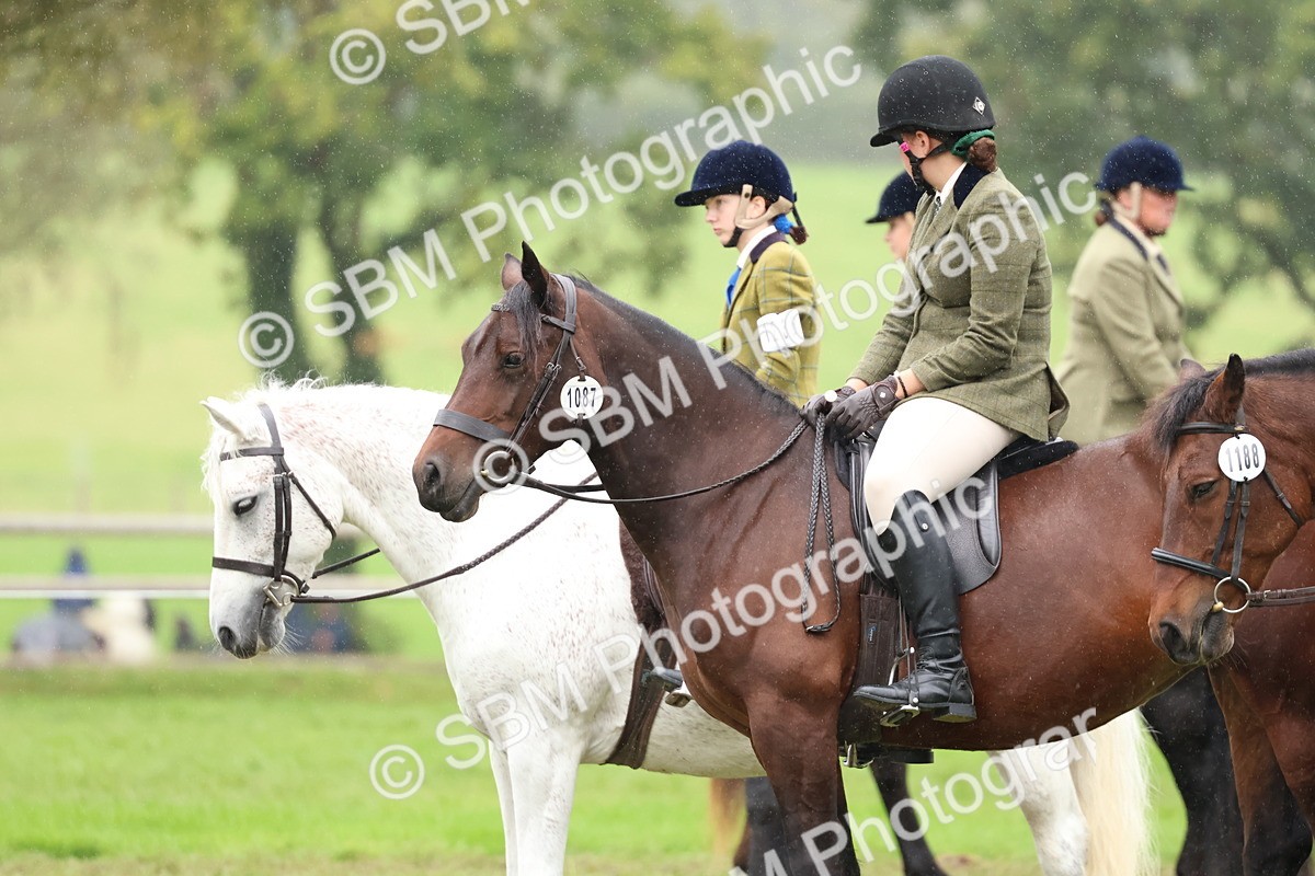 SBM_69683 - S62 - Mountain & Moorland Ridden Large Breeds