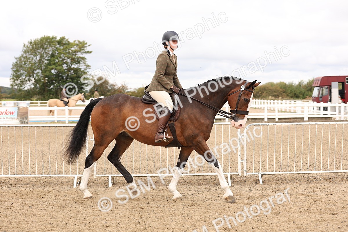 SBM_02797 - Class 53 - Ridden Competition Horse/Pony