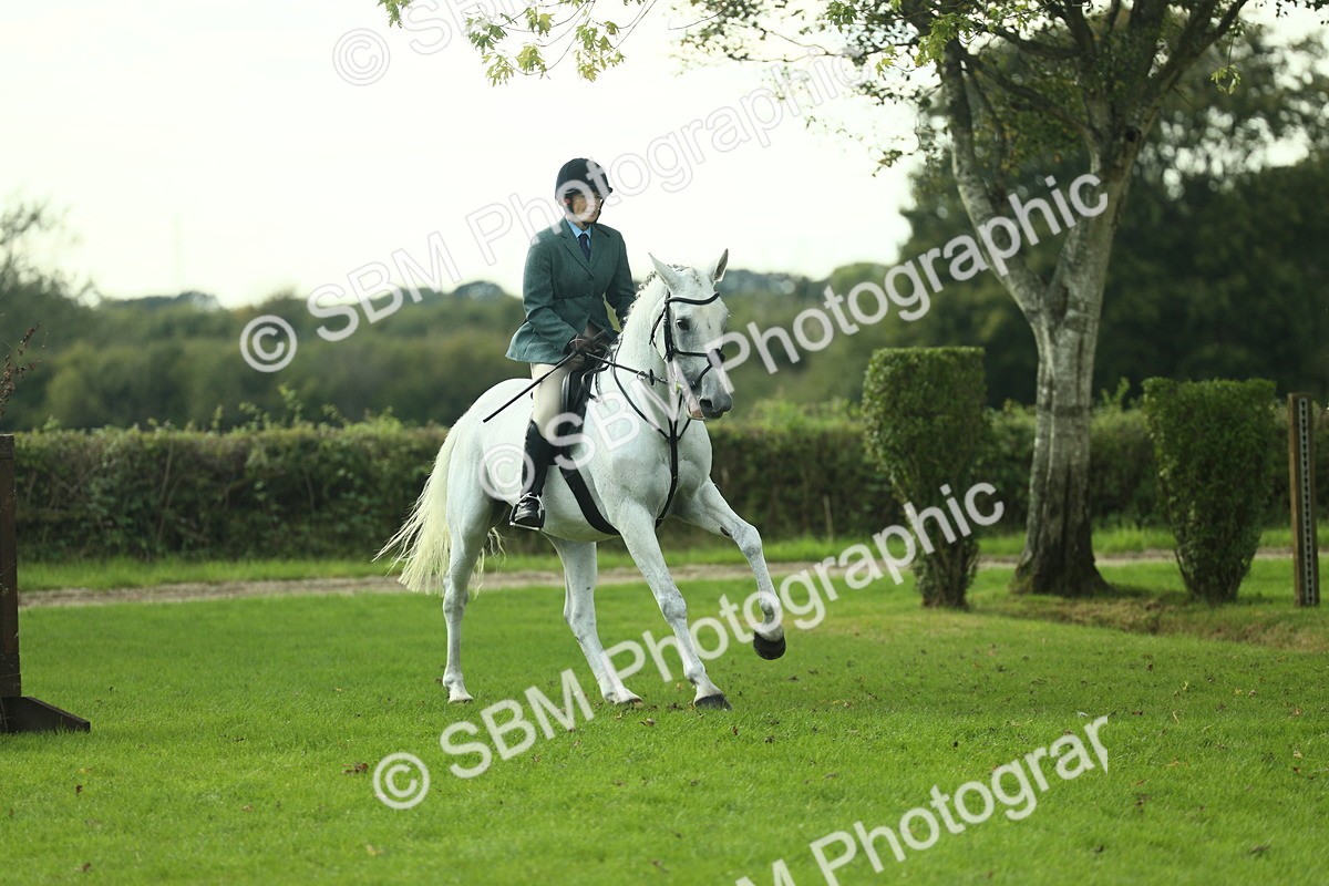 SBM_50671 - S33 - Working Hunter & Working Show Horse