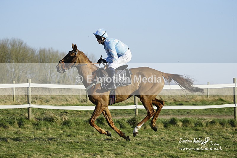 PtP 270222 420 - South & West Wilts Point-to-Point Larkhill 27/02/22