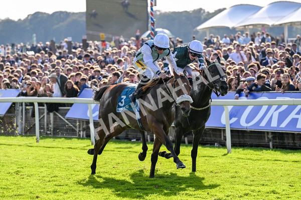 111025-Race 3-Laazm-0350 - Race 3 Coral 'Daily Reward Shaker' For Free Nursery Handicap at York