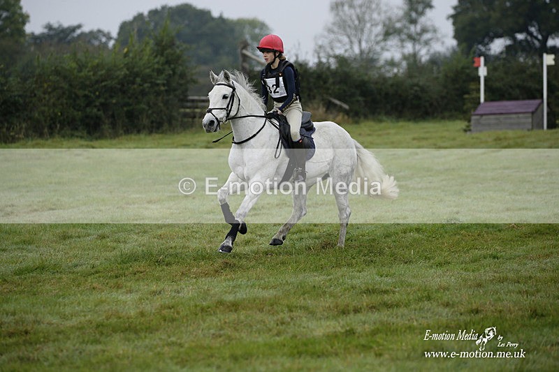 WWHT 171021 0224 - Novice Restricted (0.80m)  17/10/21