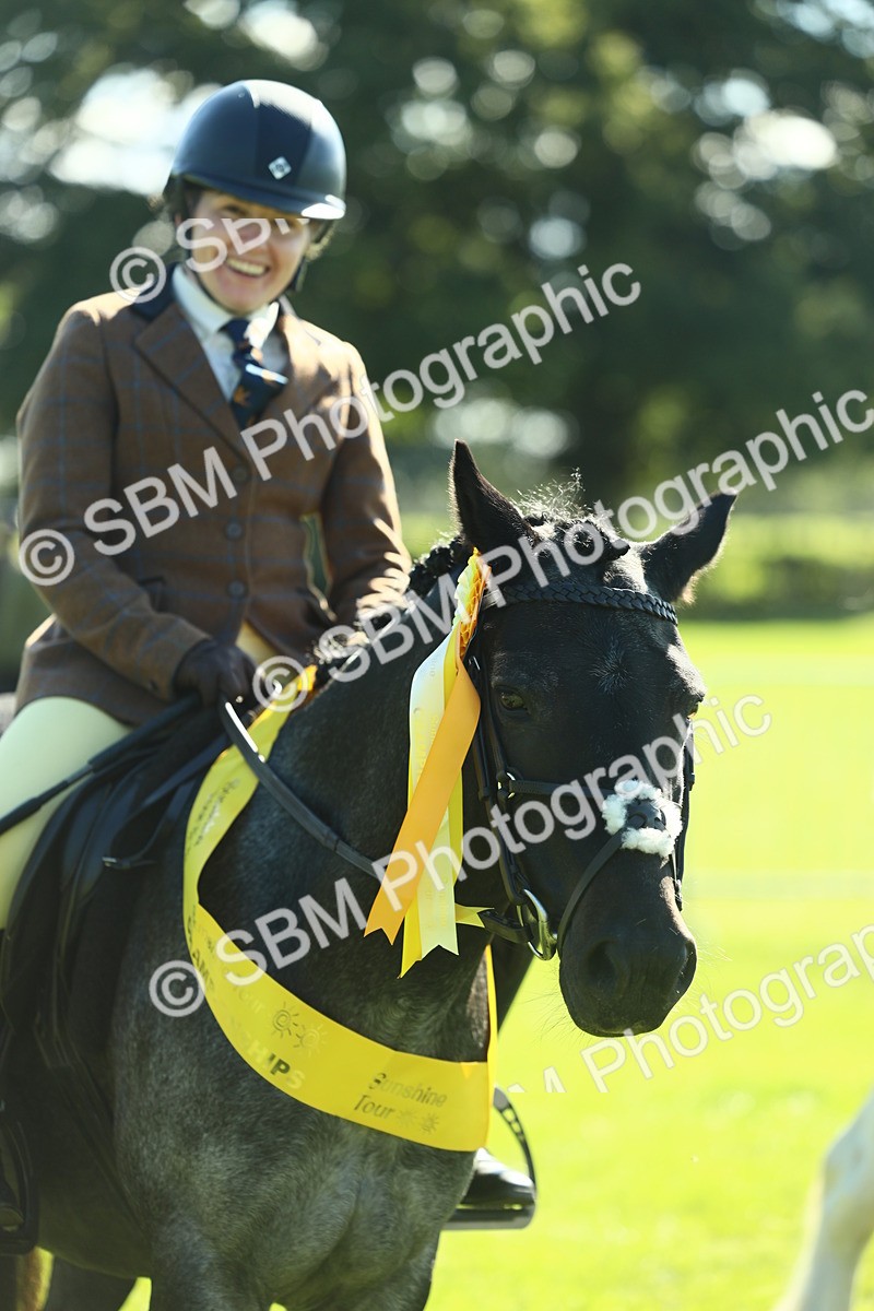 SBM_39100 - S29 - Novice & Newcomers Working Hunter Pony